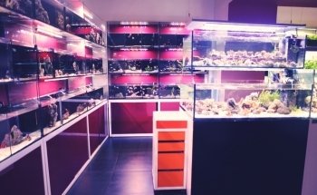 NEOQUARIUM Aquastudio Nice