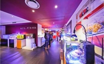 NEOQUARIUM Aquastudio Nice