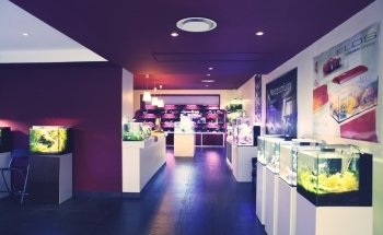 NEOQUARIUM Aquastudio Nice