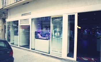 NEOQUARIUM Aquastudio Nice