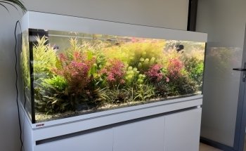 Caen Aqua