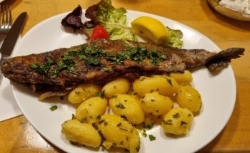 FISCH-DISTL Weinbau Leopold Distl