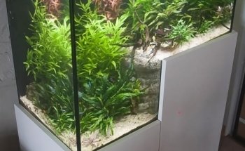AQUARI HOME