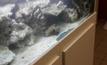 Les Arcanes de l'Eau