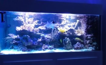 Les Arcanes de l'Eau