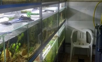 Les Arcanes de l'Eau