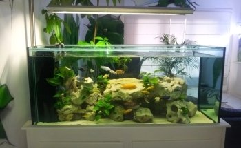 Les Arcanes de l'Eau