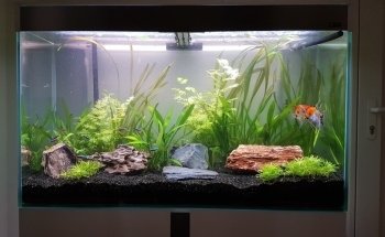 Ceda Aquarium