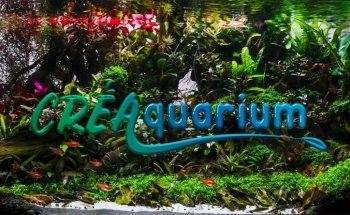 CréAquarium