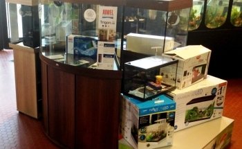 My Aquarium Gaye Mylène