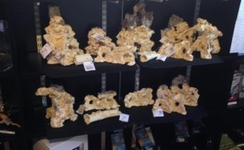 My Aquarium Gaye Mylène