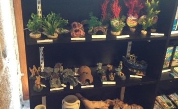 My Aquarium Gaye Mylène