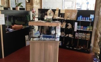 My Aquarium Gaye Mylène