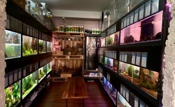 Aquarium Fachgeschäft Graz - AquaGear