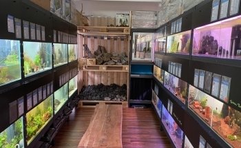 Aquarium Fachgeschäft Graz - AquaGear