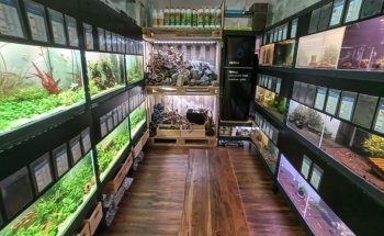 Aquarium Fachgeschäft Graz - AquaGear