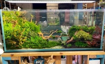 Aquarium Fachgeschäft Graz - AquaGear