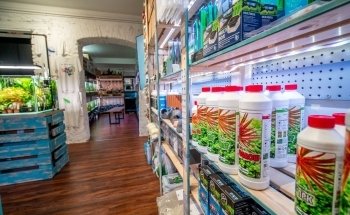 Aquarium Fachgeschäft Graz - AquaGear