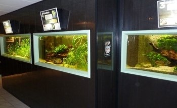 Aquarium de Saint Chamond - L'Aquaramiaud