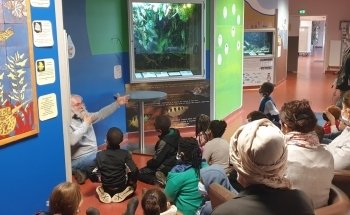 Beauvais Argentina Fish