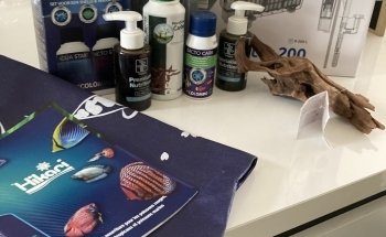 Evasion Aquatique - Installation, entretien et location d'aquarium d'eau douce et d'eau de mer. Lyon et sa région