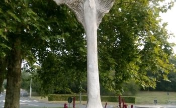 Montereau Aquarium Club