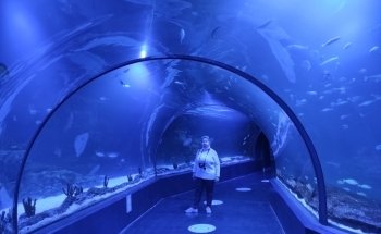 Atlantis Aquarium Madrid