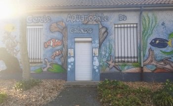 Cercle Aquariophile du Calaisis
