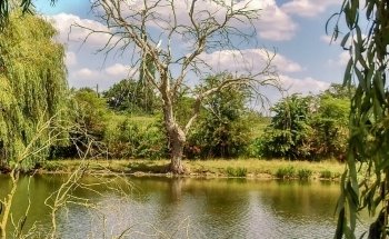 Ecurie Marine Esnandes