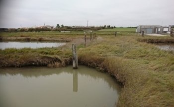 Ecurie Marine Esnandes