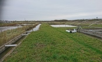 Ecurie Marine Esnandes