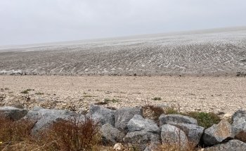 Ecurie Marine Esnandes