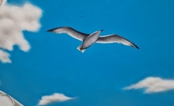 Ecurie Marine Esnandes