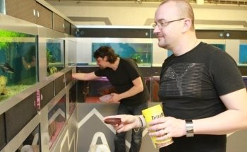 Club Aquariophile - Les Abysses