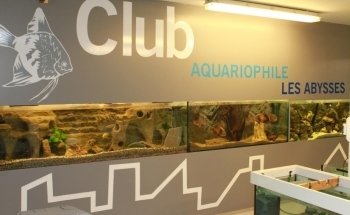 Aquarium Club - The Abysses