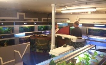 Club Aquariophile - Les Abysses