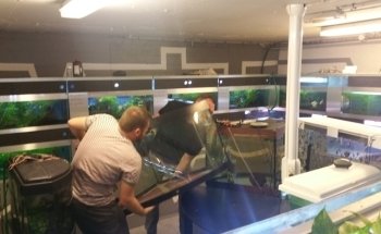 Club Aquariophile - Les Abysses