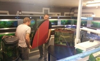 Club Aquariophile - Les Abysses