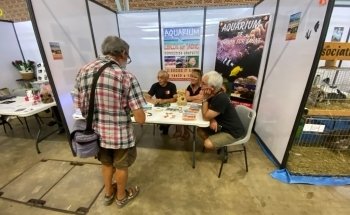 Asociación Chalonnaise de Acuariofilia