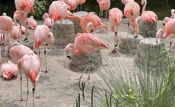 Zoo Zürich