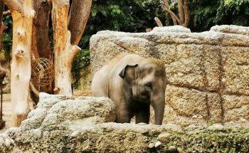 Zoo Zürich
