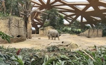 Zoo Zurich