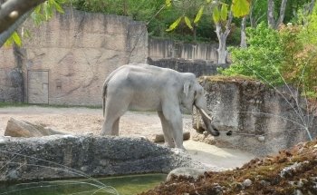 Zoo Zürich