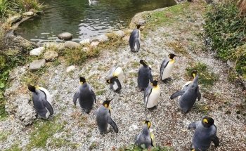 Zoo Zürich