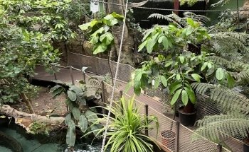 AQUATIS Aquarium-Vivarium