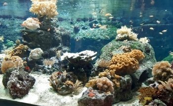 AQUATIS Aquarium-Vivarium