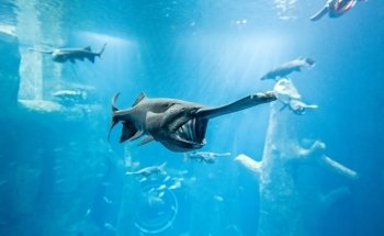 AQUATIS Aquarium-Vivarium
