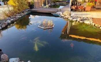 Swisstropicalfish GmbH