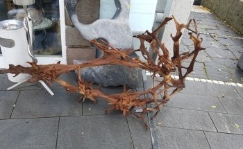 Swisstropicalfish GmbH