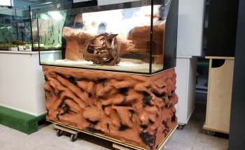Swisstropicalfish GmbH